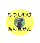 フルーツプードル♡ぱいんしゃな挨拶編（個別スタンプ：18）