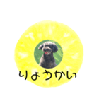 フルーツプードル♡ぱいんしゃな挨拶編（個別スタンプ：20）