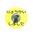 フルーツプードル♡ぱいんしゃな挨拶編（個別スタンプ：21）