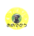 フルーツプードル♡ぱいんしゃな挨拶編（個別スタンプ：28）
