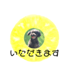 フルーツプードル♡ぱいんしゃな挨拶編（個別スタンプ：30）