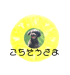 フルーツプードル♡ぱいんしゃな挨拶編（個別スタンプ：31）