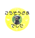 フルーツプードル♡ぱいんしゃな挨拶編（個別スタンプ：32）