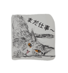 ニャンとわん（個別スタンプ：14）