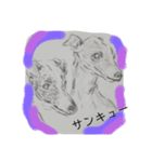 ニャンとわん（個別スタンプ：19）