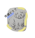 ニャンとわん（個別スタンプ：22）
