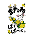 【Big】シーズー犬26『薔薇の妖精かな？』（個別スタンプ：36）