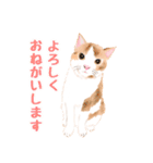 いぬ(ねこ) の日常敬語（個別スタンプ：8）