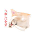 いぬ(ねこ) の日常敬語（個別スタンプ：18）