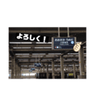 【鉄道・バススタンプ】（個別スタンプ：17）