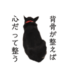 中二病整体師の犬（個別スタンプ：1）