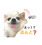 ロビン君スタンプ（個別スタンプ：3）
