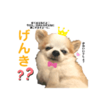ロビン君スタンプ（個別スタンプ：7）