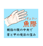 鍼灸師用！上肢陰経ツボ（個別スタンプ：5）