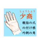 鍼灸師用！上肢陰経ツボ（個別スタンプ：6）