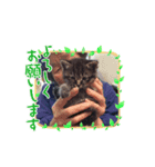 うちのデブ猫シリーズ0。たまに飼主出没。（個別スタンプ：6）