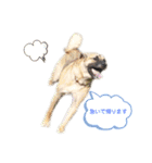 加藤はるくんスタンプ（個別スタンプ：1）