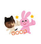 suzucの日常生活7（個別スタンプ：7）
