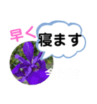 たけしのスタンプ その22（個別スタンプ：3）