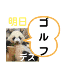 たけしのスタンプ その22（個別スタンプ：5）