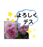 たけしのスタンプ その22（個別スタンプ：6）