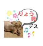 たけしのスタンプ その22（個別スタンプ：7）