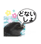 たけしのスタンプ その22（個別スタンプ：9）