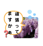 たけしのスタンプ その22（個別スタンプ：10）