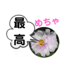 たけしのスタンプ その22（個別スタンプ：12）