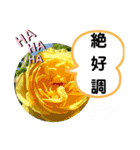 たけしのスタンプ その22（個別スタンプ：13）