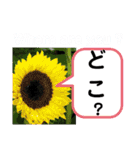 たけしのスタンプ その22（個別スタンプ：14）