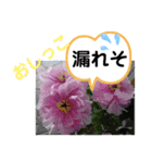 たけしのスタンプ その22（個別スタンプ：15）