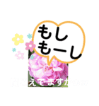 たけしのスタンプ その22（個別スタンプ：16）