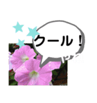 たけしのスタンプ その22（個別スタンプ：17）