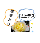 たけしのスタンプ その22（個別スタンプ：18）