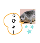 たけしのスタンプ その22（個別スタンプ：20）
