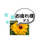 たけしのスタンプ その22（個別スタンプ：21）