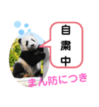 たけしのスタンプ その22（個別スタンプ：22）