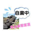 たけしのスタンプ その22（個別スタンプ：23）