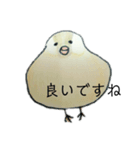 敬語のシナモン文鳥チーちゃん（個別スタンプ：7）