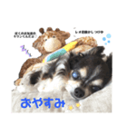 Reo君スタンプ（個別スタンプ：3）