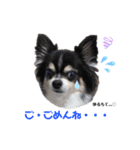Reo君スタンプ（個別スタンプ：5）