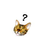 レオレオ猫（個別スタンプ：9）