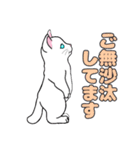MIYOのネコさん(ちびシロ猫さん)（個別スタンプ：3）