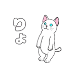 MIYOのネコさん(ちびシロ猫さん)（個別スタンプ：6）