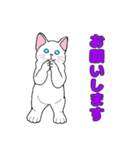 MIYOのネコさん(ちびシロ猫さん)（個別スタンプ：7）