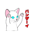 MIYOのネコさん(ちびシロ猫さん)（個別スタンプ：11）