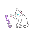 MIYOのネコさん(ちびシロ猫さん)（個別スタンプ：12）
