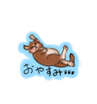 手書き風『猫スタンプ』（個別スタンプ：15）