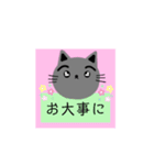 catฅ•ω•ฅ（個別スタンプ：15）